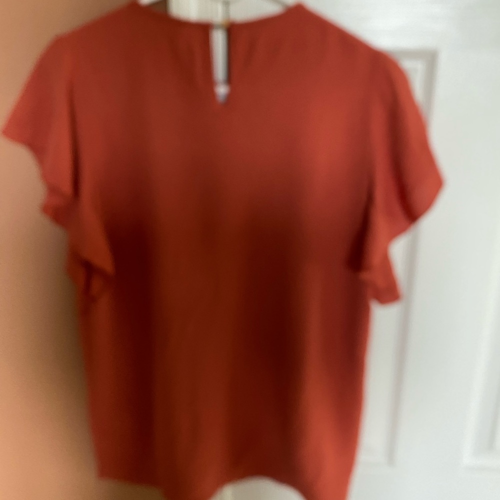 Rust Embroidered Flutter Top Size Small - Picture 3 of 4